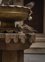 Hand-Carved Sandstone Fountain - Traditional Indian Courtyard Water Feature